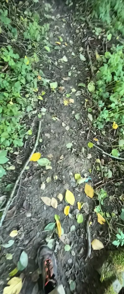 Каньон Саблино