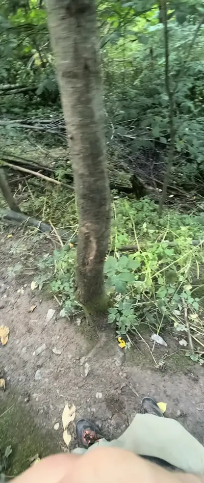 Саблинский маршрут, Ленинградская область